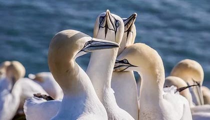 如何看待数字资产也需要“保险柜”？