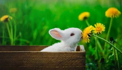 比特币涨这么多，但是真的卖得出去吗？